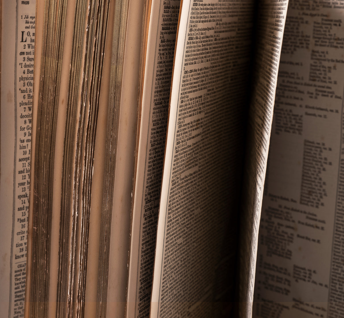 the-gilded-pages-of-an-old-book.jpg